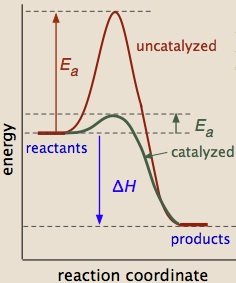 Reaction coordinate